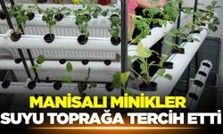 Manisa'da hidroponik tarımla ürün yetiştiriyor