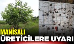Salihlili üreticilere uyarı