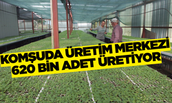 Manisa'nın komşusunda üretiliyor! Merkez haline geldi