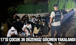 Muğla'da 36 düzensiz göçmen yakalandı