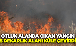 Muğla'da otluk alanda yangın!