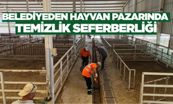 Nazilli Belediyesi'nden Kurban Bayramı Hazırlığı!