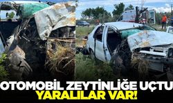 Otomobil zeytinliğe uçtu: Yaralılar var