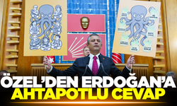 Özel'den Erdoğan'a ahtapot cevabı