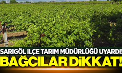 Sarıgöl İlçe Tarım ve Orman Müdürlüğü, bağcıları uyardı!