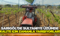 Sarıgöllü çiftçiler, kaliteli üzüm için zamanla yarışıyorlar!