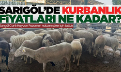 Sarıgöl'de Kurbanlık Fiyatları ve Üretici Gözlemleri