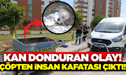 Sokak hayvanlarına ekmek toplarken dehşeti yaşadı!