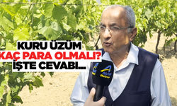 Tüfekci 2025 yılı kuru üzüm fiyatı tahminini açıkladı