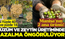 TÜİK açıkladı: Üzüm ve zeytin üretimi azalıyor