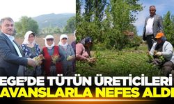 Avanslar yattı: Geç kalan dikim başladı