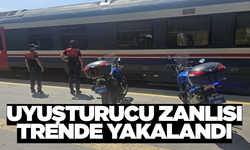 Tren Garı’nda Şok Operasyon: Trende Aranan Şahıs Yakalandı