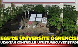 Ege'de akıl almaz taktik: Düzenek ile kenevir yetiştirdi