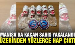 Manisa'da Yunuslardan nefes kesen takip