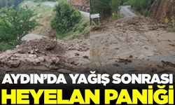 Ege'de heyelan