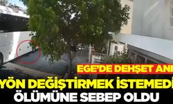 Aydın'da skandal: Sokak köpeğini bilerek ezdi