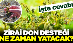 Zirai don destek ödemelerinin yatacağı tarih belli oldu!