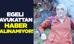 Muğlalı avukat; "işyerine gidiyorum" dedi, bir daha haber alınamadı!