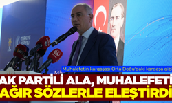 AK Partili Ala'dan muhalefete sert eleştiri