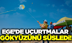 Didim'de uçurtma şenliği renkli görüntülere sahne oldu