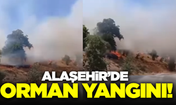 Alaşehir'de orman yangını! Ekiplerin müdahalesi sürüyor