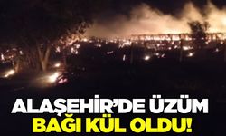 Alaşehir'de üzüm bağında yangın alarmı!