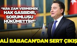 Babacan:  "Enflasyonun Sorumlusu Hükümettir"