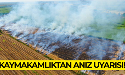 Kaymakamlıktan çiftçilere anız uyarısı!