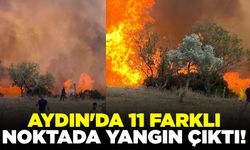 Aydın alevlerle mücadele ediyor: Tam 11 farklı noktada yangın!