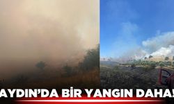 Aydın'da bir yangın daha!