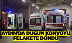 Ege'de Maganda Kurşunu Küçük Bir Canı Hedef Aldı