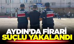 10 Yıl 8 Ay Hapis Cezası Bulunan Şahıs Jandarmadan Kaçamadı