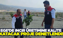 Aydın'da 'Kaliteli İncir, Kaliteli İlek' projesine denetim