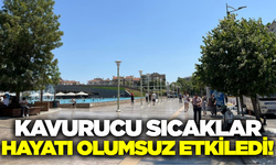 Aydın'da kavurucu sıcaklar hayatı olumsuz etkiledi!