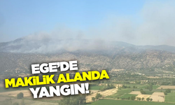 Aydın'da makilik alanda yangın: Ekiplerin müdahalesi sürüyor