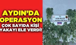 Ege'de uyuşturucu operasyonu: Çok sayıda yakalama