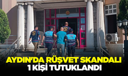 Aydın'da Hazine Arazisi Rantına Suçüstü: 1 Tutuklama, 17 Gözaltı