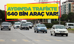 TÜİK Verileri: Aydın’da Araç Sayısı 640 Bin 826’ya Ulaştı