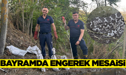 Balıkesir İtfaiyesi zehirli engerek yılanlarına müdahale etti