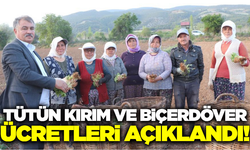 Beyağaç’ta tütün kırım ve biçerdöver ücretleri açıklandı!