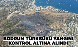 Bodrum'daki makilik alanda çıkan yangın kontrol altına alındı