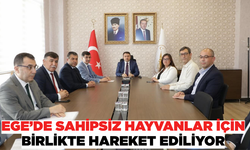 Kütahya'da sahipsiz hayvanlar için ortak toplantı