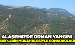 Alaşehir'deki orman yangını kontrol altına alındı!
