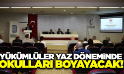 Manisa'daki yükümlüler okulları boyayacak