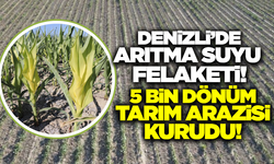 Çiftçiler isyan etti: 5 bin dönümlük arazi kurudu!