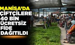 Manisa’da çiftçilere 40 bin adet ücretsiz fide dağıtımı