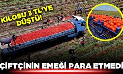 "Çiftçi bu sene hiçbir üründen para kazanamadı, DFİF desteği istiyoruz"