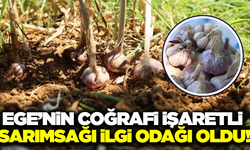 Ege'nin şifa kaynağına yoğun ilgi!