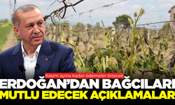 Cumhurbaşkanı Erdoğan'dan zirai don açıklaması