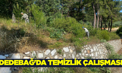 Dedebağ Türbesi ve Mesire Alanı’nda temizlik çalışması